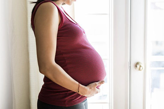 “包成功、包性别”，代怀孕套餐报价88万