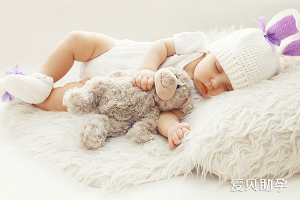 什么是助孕公司